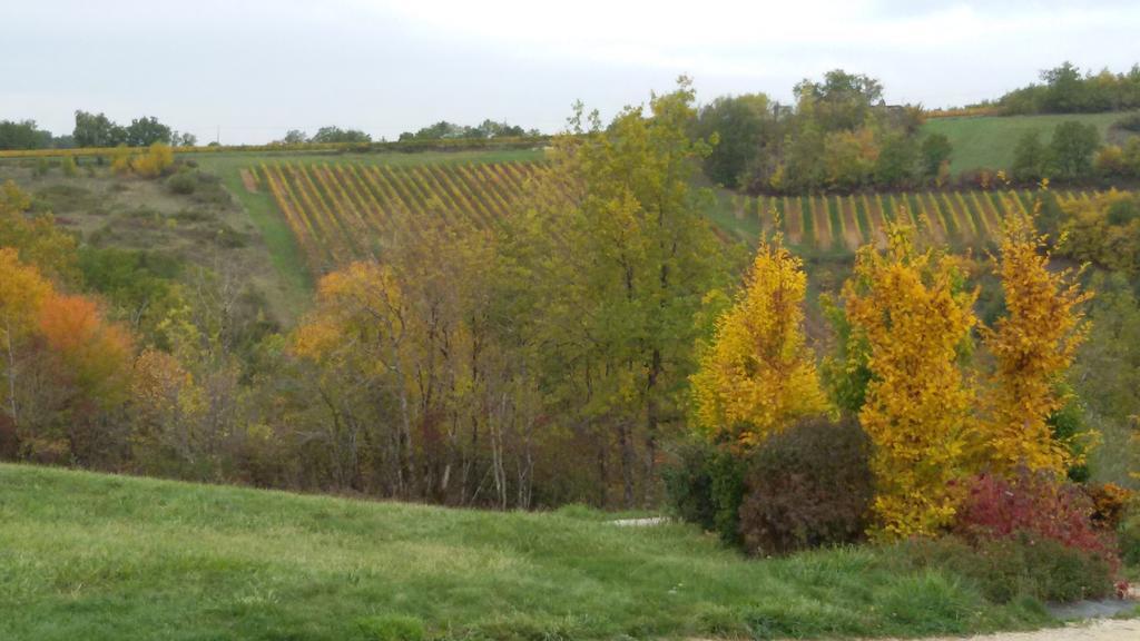 Les Hauts D'Albas Albas  ห้อง รูปภาพ