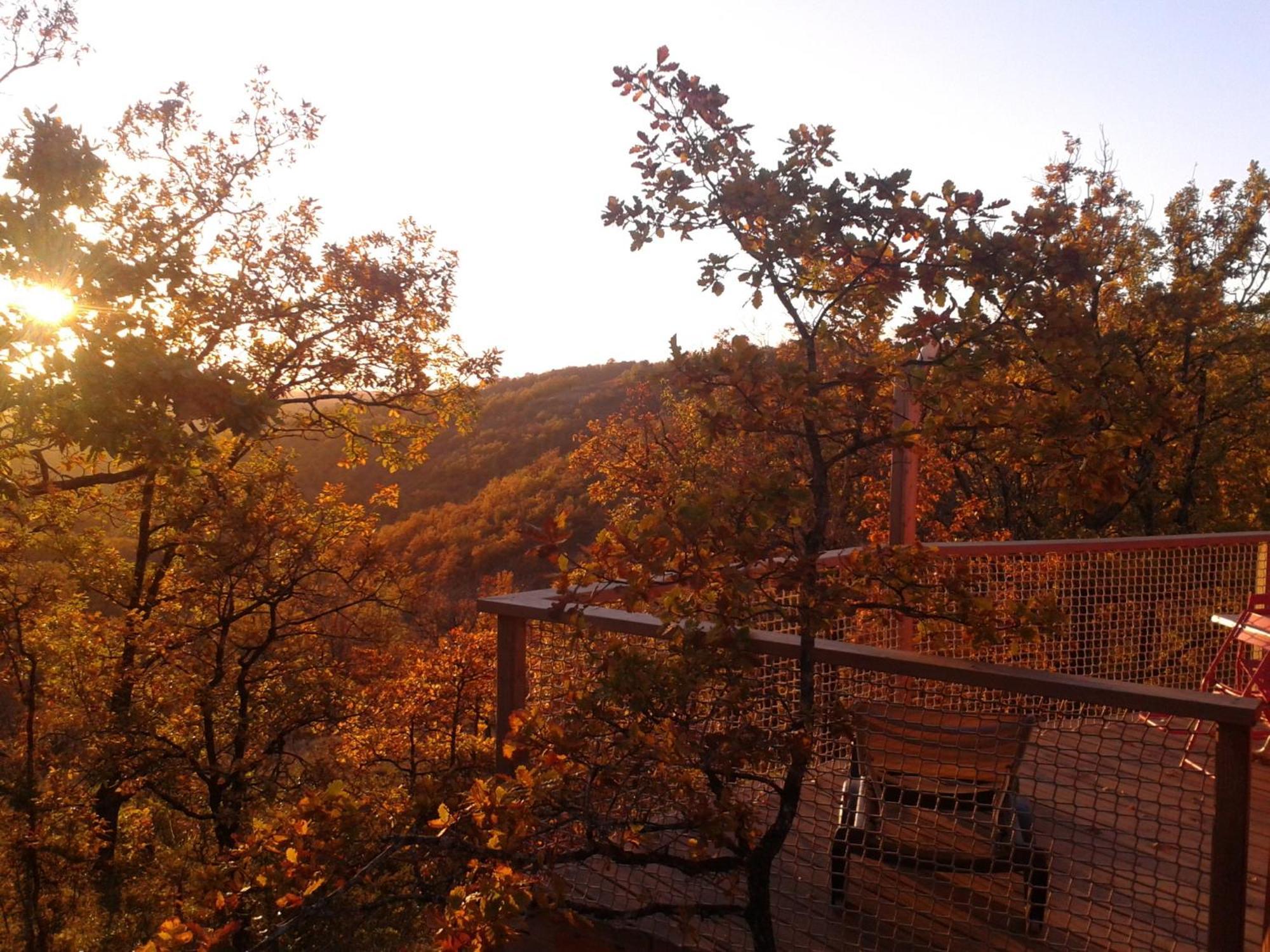 Les Hauts D'Albas Albas  ห้อง รูปภาพ