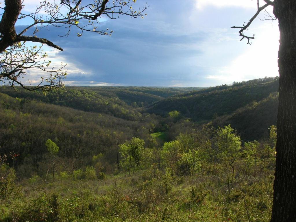 Les Hauts D'Albas Albas  ห้อง รูปภาพ